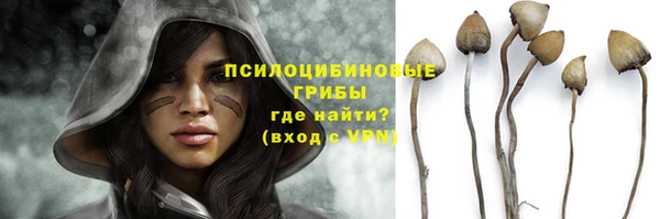соль ск Балахна